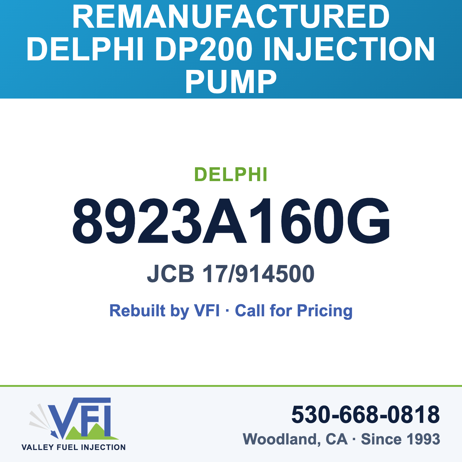 Rebuilt Delphi DP200 Injection Pump 8923A160G card