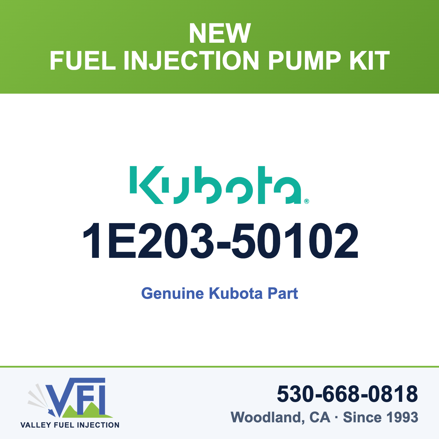 Genuine Kubota 1E203-50102 Fuel Injection Pump Kit